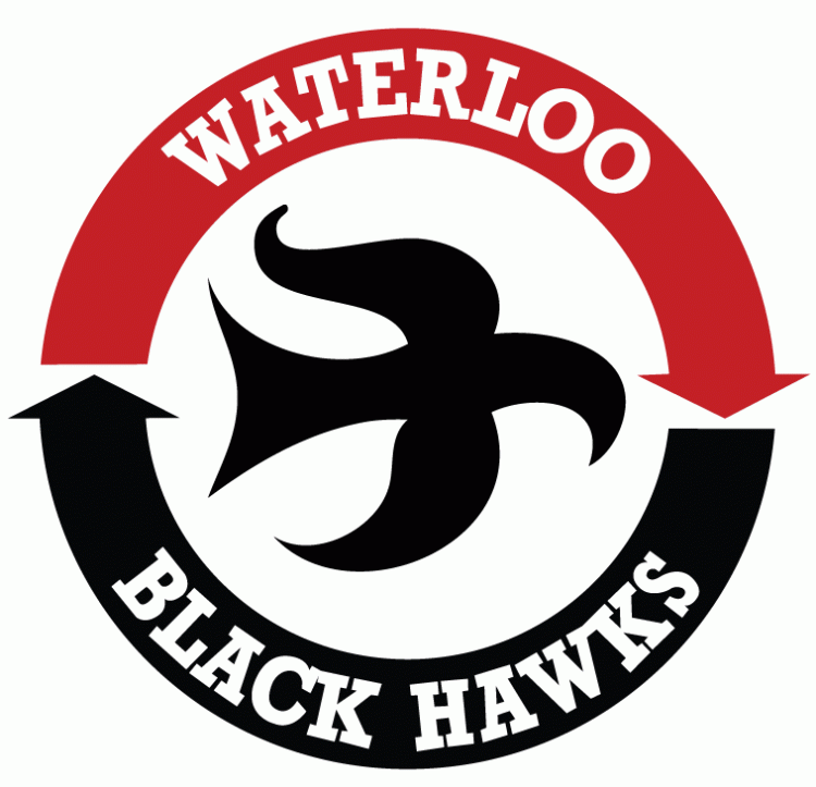 Waterloo Black Hawks 2014-Pres Primary Logo iron on transfers for clothing
